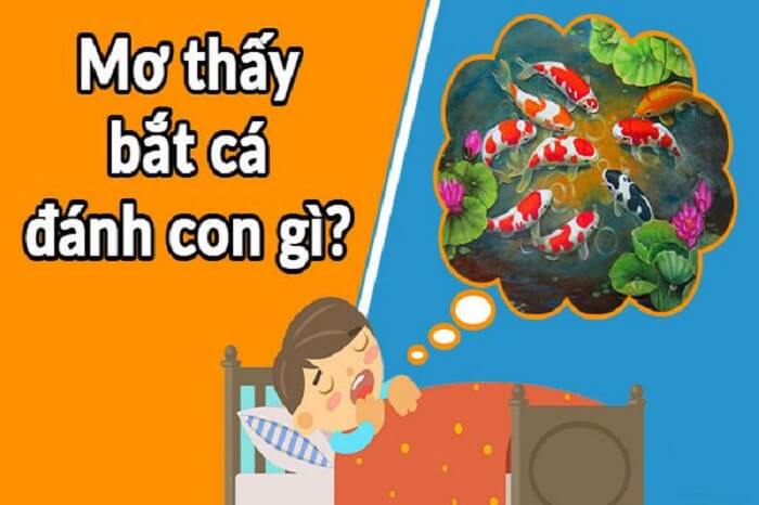 Ngủ mơ thấy bắt cá đánh con gì dễ trúng?