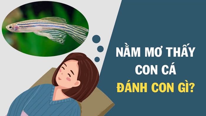 Nằm mơ thấy cá đánh đề con gì chuẩn xác nhất?