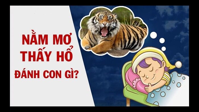 Nằm mơ thấy hổ nên đánh số mấy dễ trúng nhất?