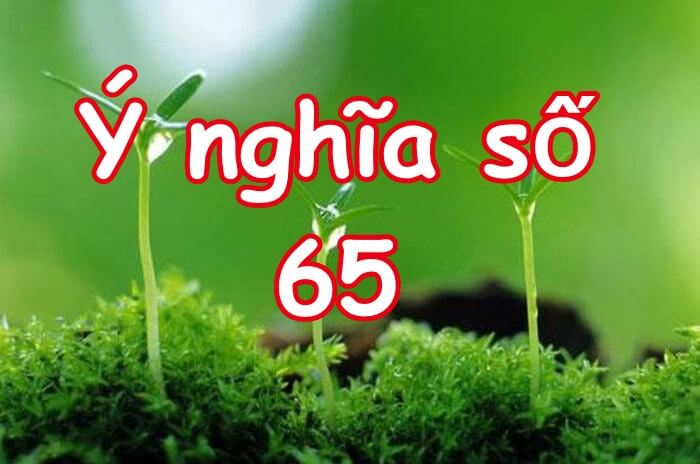 Ý nghĩa con số 65 là gì?